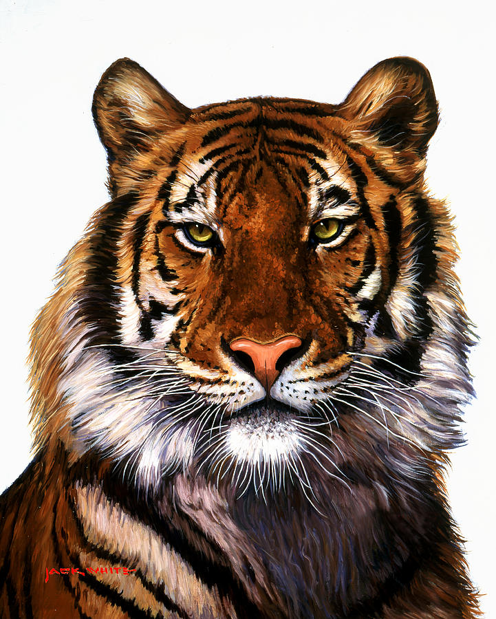 Tiger Painting - JACK WHITE Bengal Tiger by Mikki Senkarik