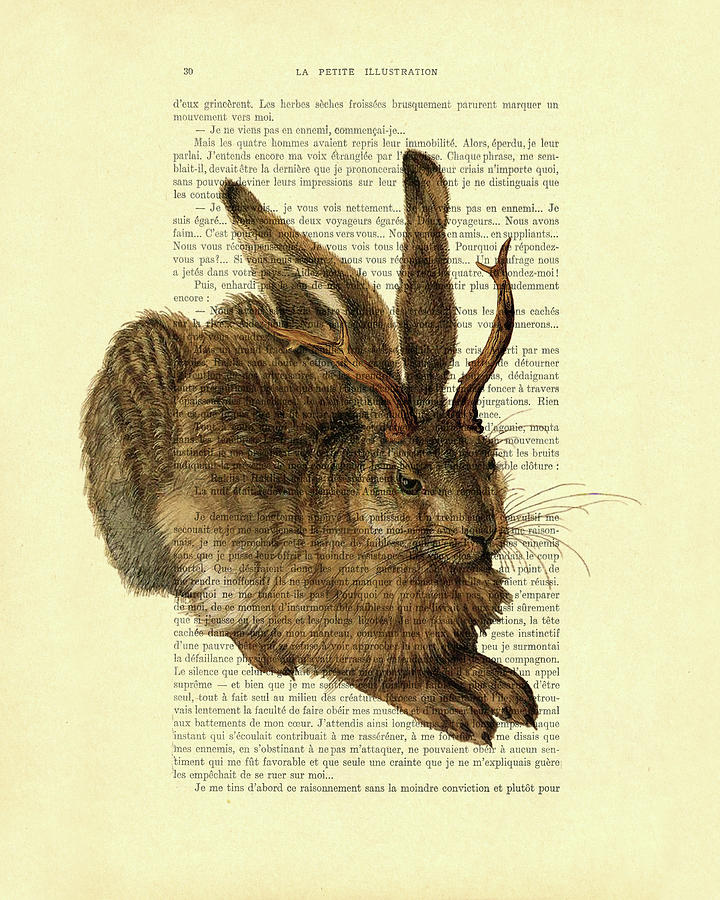 Fantasy Digital Art - Jackalope mythical animal art by Madame Memento
