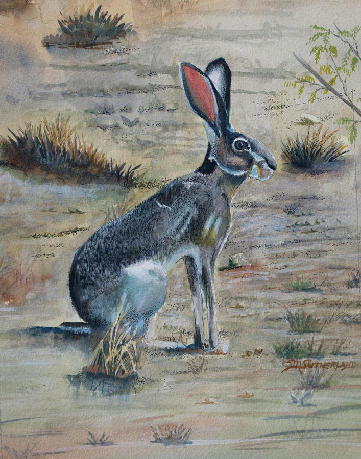 Jackrabbit - Ready to Run Painting by E M Sutherland