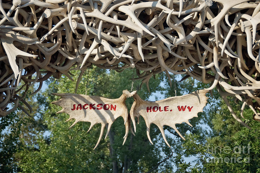Jackson Hole antlers arch Photograph by Delphimages Photo Creations