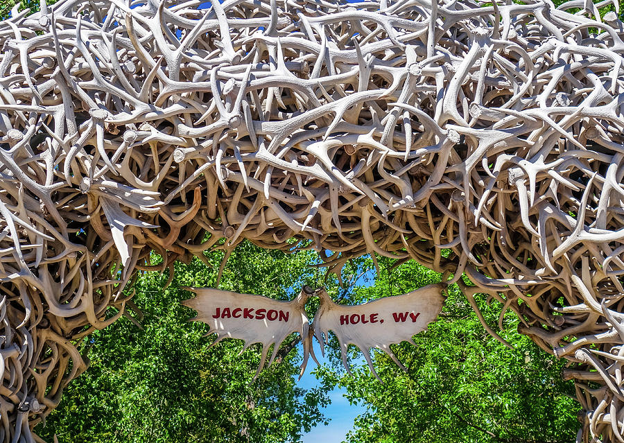 Jackson Hole Antlers Photograph by Dan Sproul