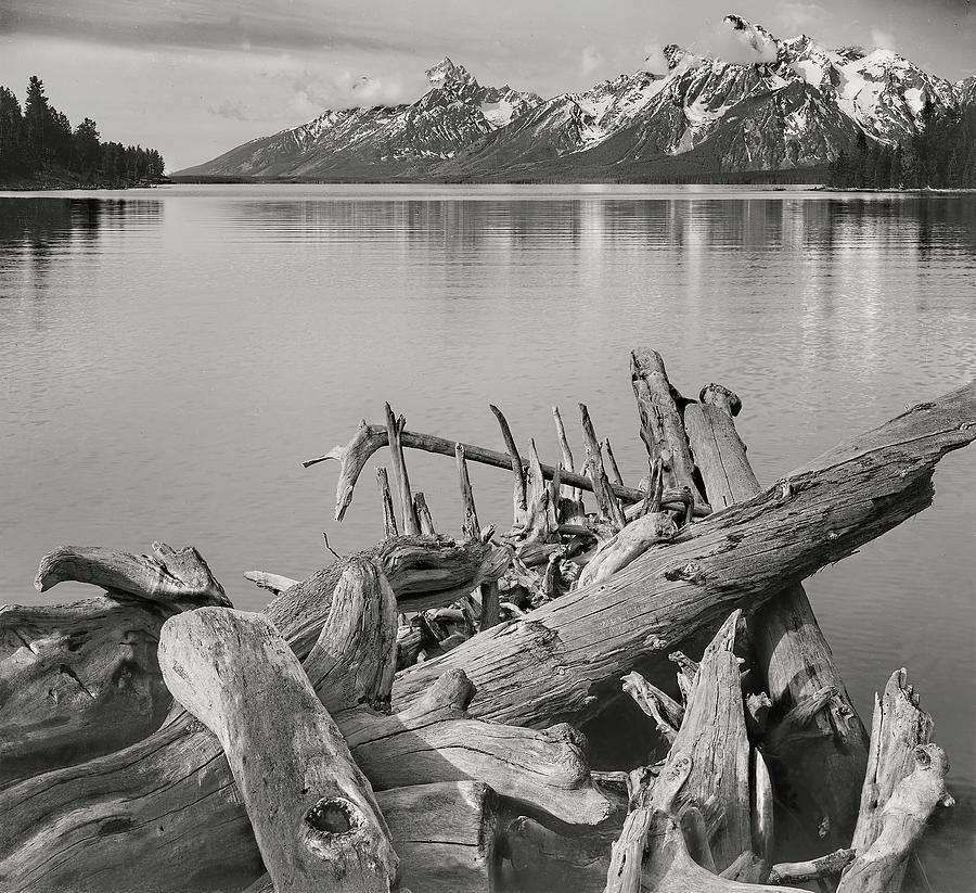 Jackson Lake Grand Tetons Photograph by Ansel Adams