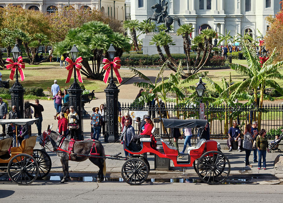 Jackson Square Carriages Photograph by Sally Weigand