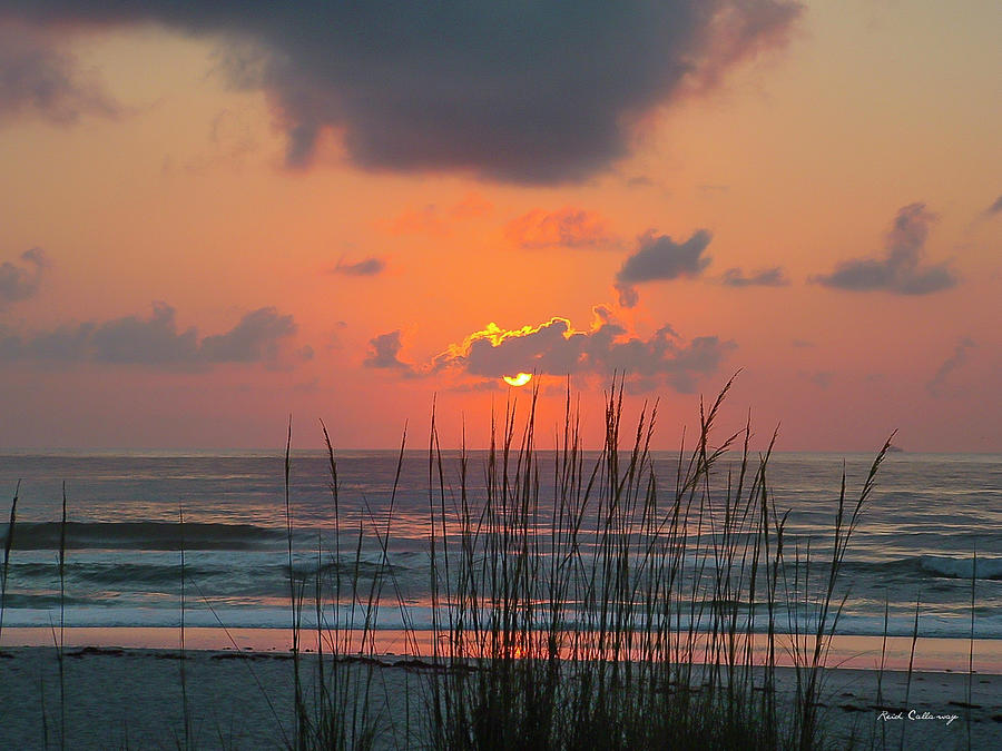 Jacksonville Beach FL Jacksonville Beach Sea Oats Sunrise Atlantic Ocean Seascape Art Photograph by Reid Callaway