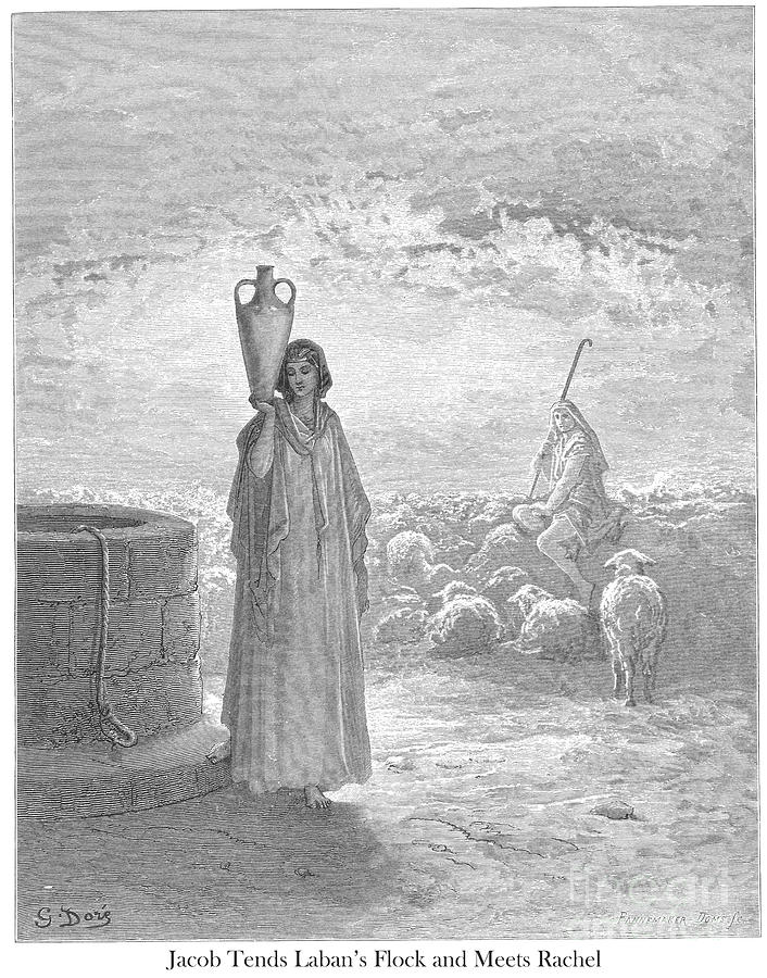 Jacob Tends Labans Flocks and Meets Rachel by Gustave Dore v1 Drawing by Historic illustrations