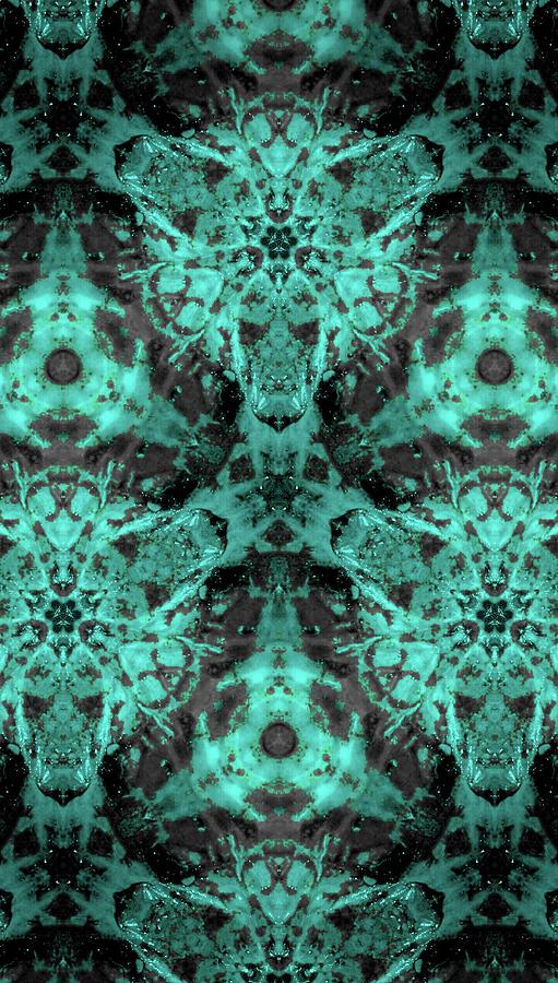 Jaded Kaleidoscope  Digital Art by Jeremy Lyman