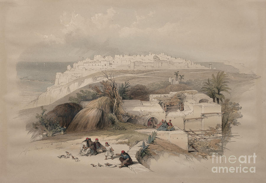 Jaffa, Looking North 1839 q1 Painting by Historic illustrations