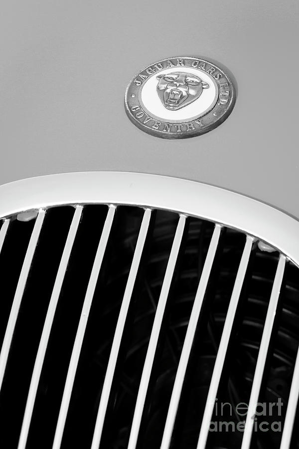 Vintage Photograph - Jag Grill by Dennis Hedberg