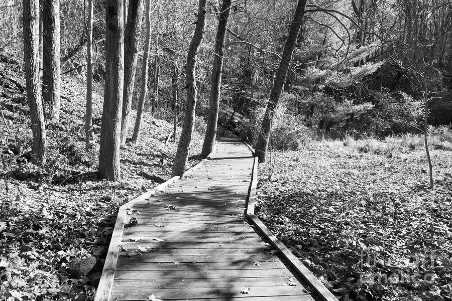 Jagged Path Photograph by Len Tauro - Pixels