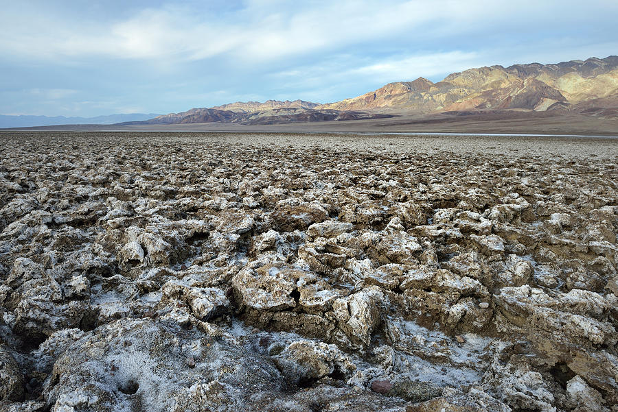 Jagged salt formations at the Devils Golf Course, Death Valley, California Photograph by Kevin Oke