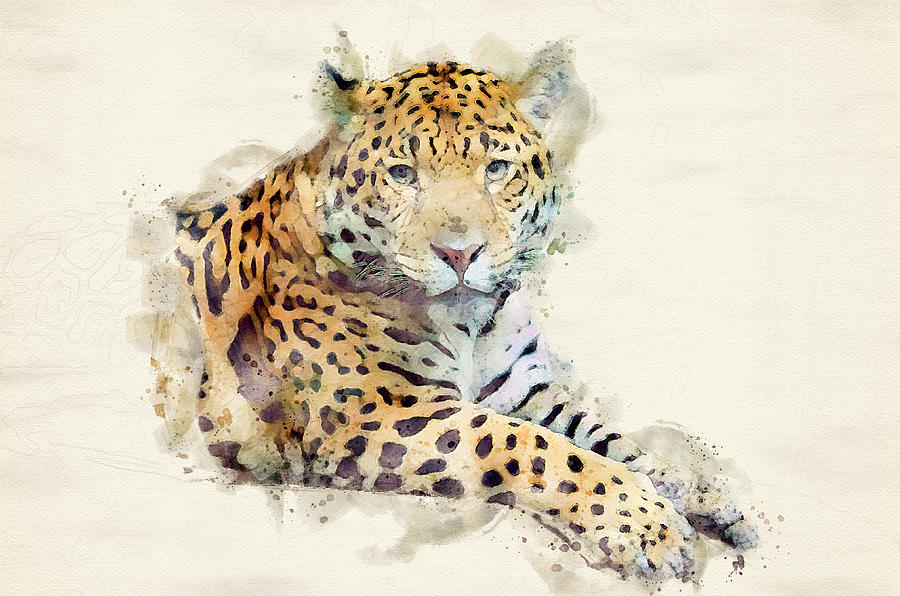 Jungle Digital Art - Jaguar Art by Darren Wilkes