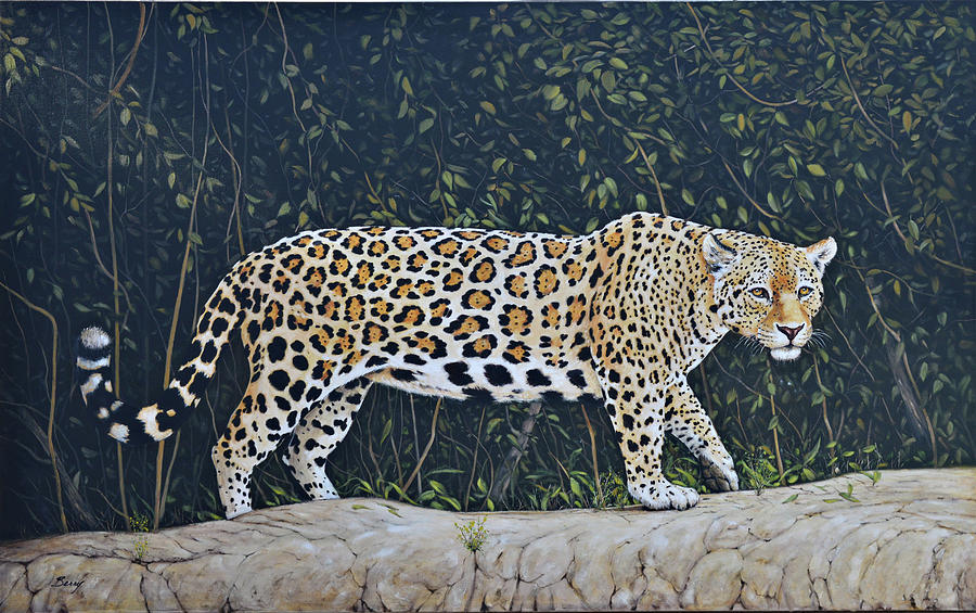 Jaguar Beauty Painting by Charles Berry