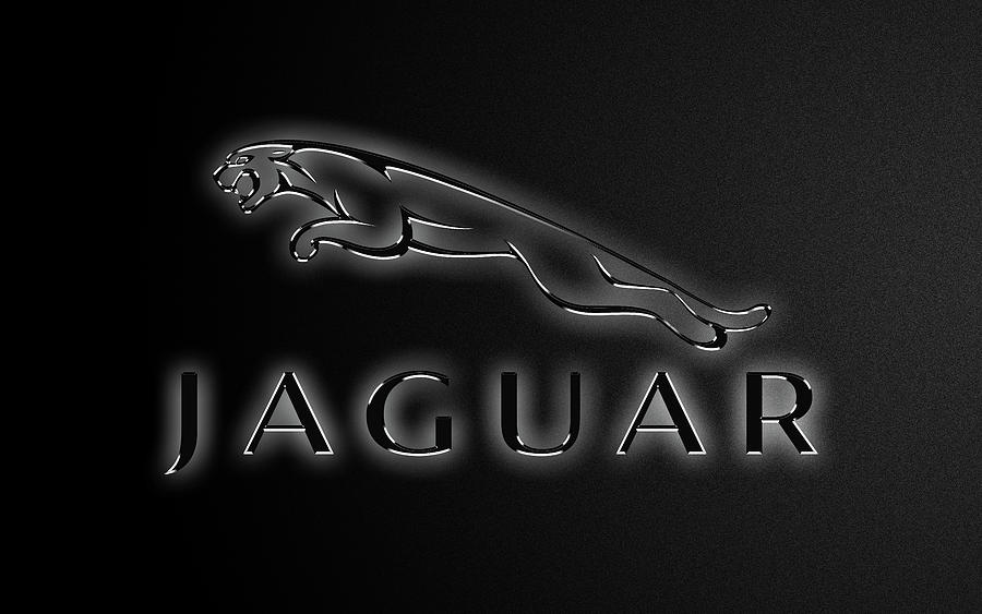 Jaguar Black Edition Photograph by Ricky Barnard - Pixels