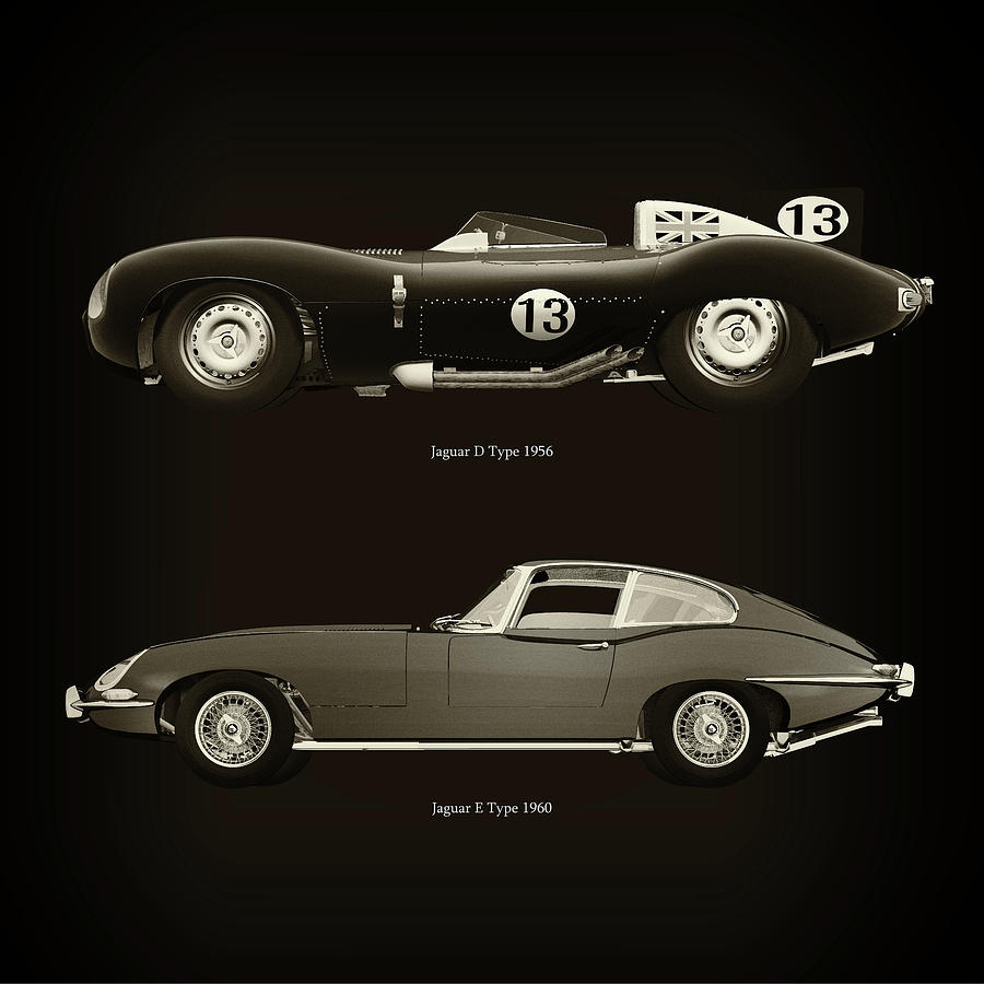 Jaguar D Type 1956 and Jaguar E Type 1960 Photograph by Jan Keteleer