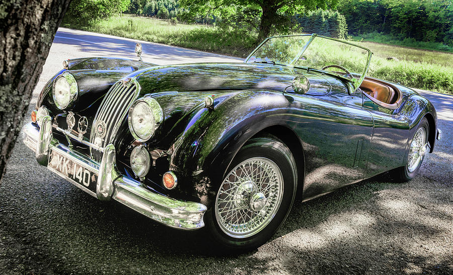 Jaguar Photograph by Edward Shackleford - Fine Art America