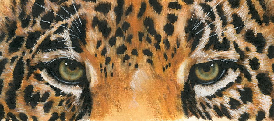 Jaguar Painting - Jaguar Gaze by Barbara Keith
