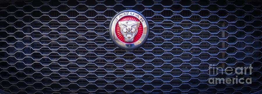 Jaguar Grille Logo - Hood Emblem  Photograph by Stefano Senise