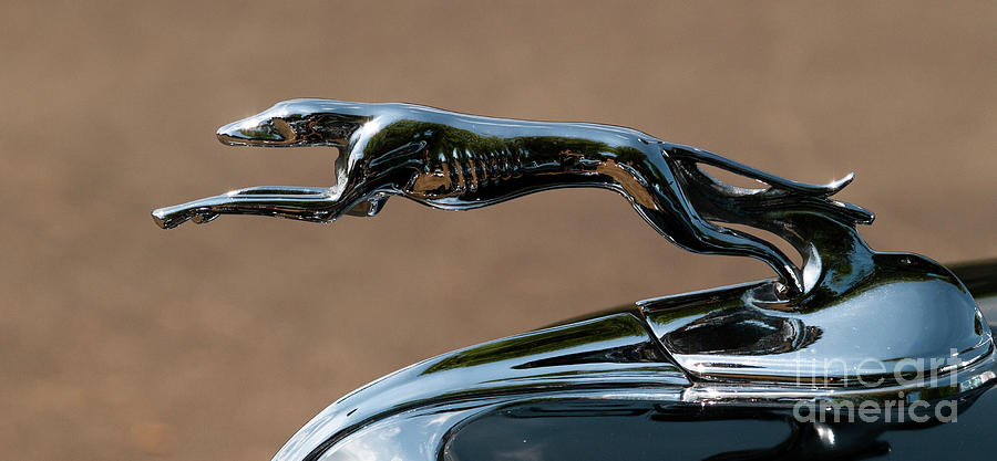 Jaguar Hood ornament Photograph by Robert Schlimgen | Fine Art America