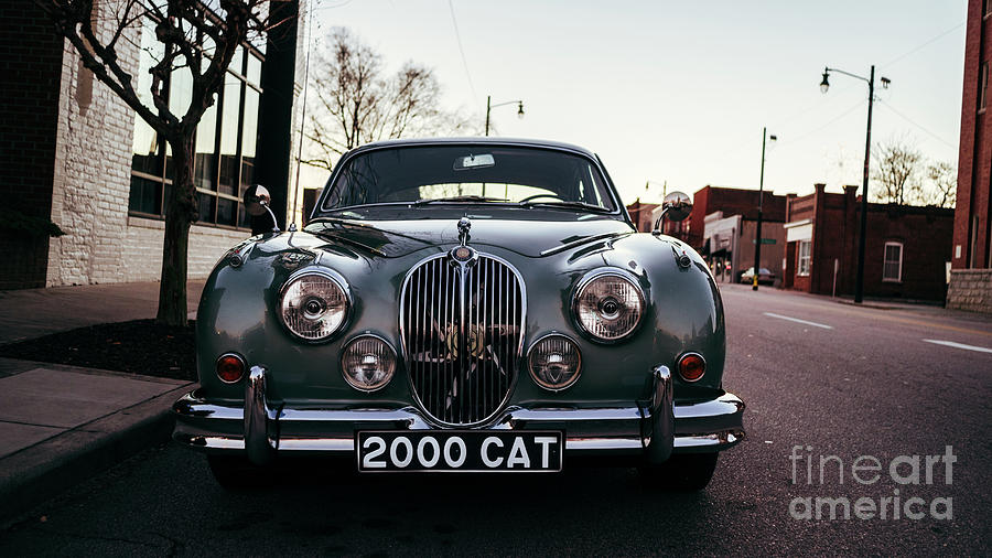 Vintage Photograph - Jaguar in the City by JaMarcus Bullock