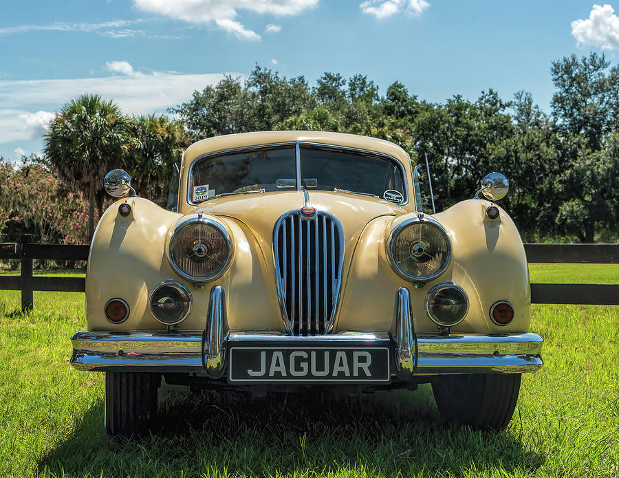 Jaguar J Photograph by Betty Eich