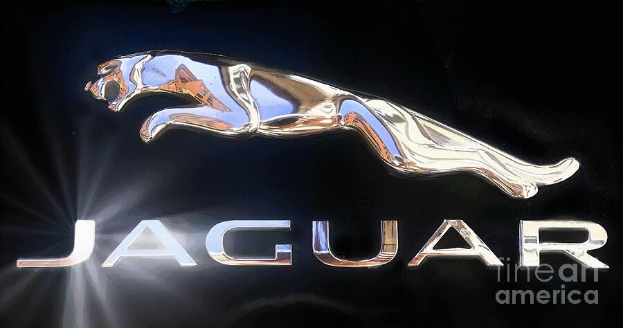 Jaguar Car Emblem Photograph - Jaguar Stylized Logo - Hood Emblem  by Stefano Senise