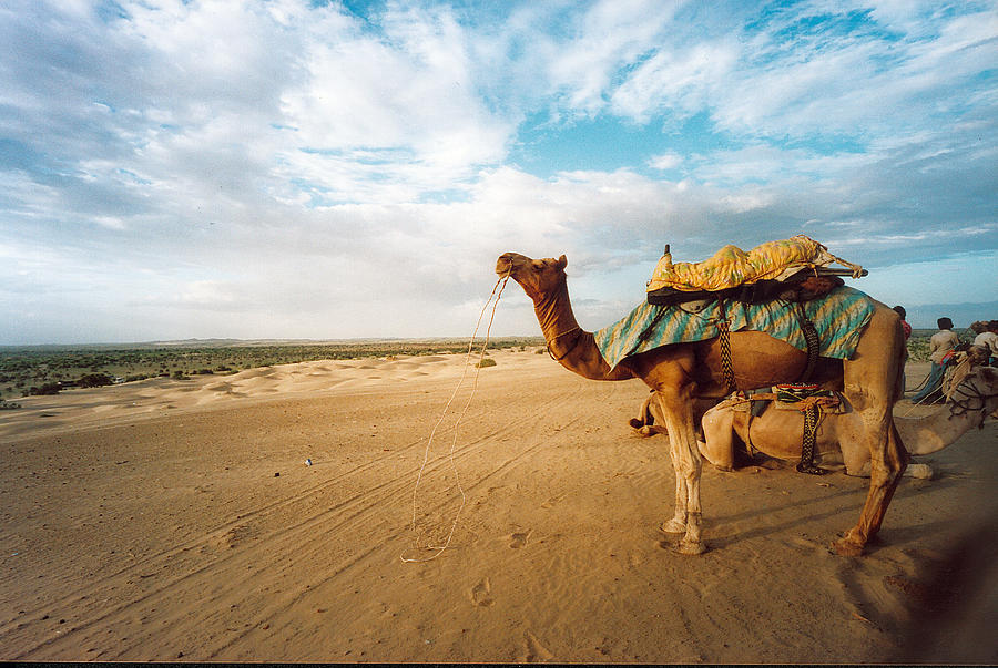Jaisalmer, Rajasthan, India Photograph by M/photos/tango-/5762887776/ Ti