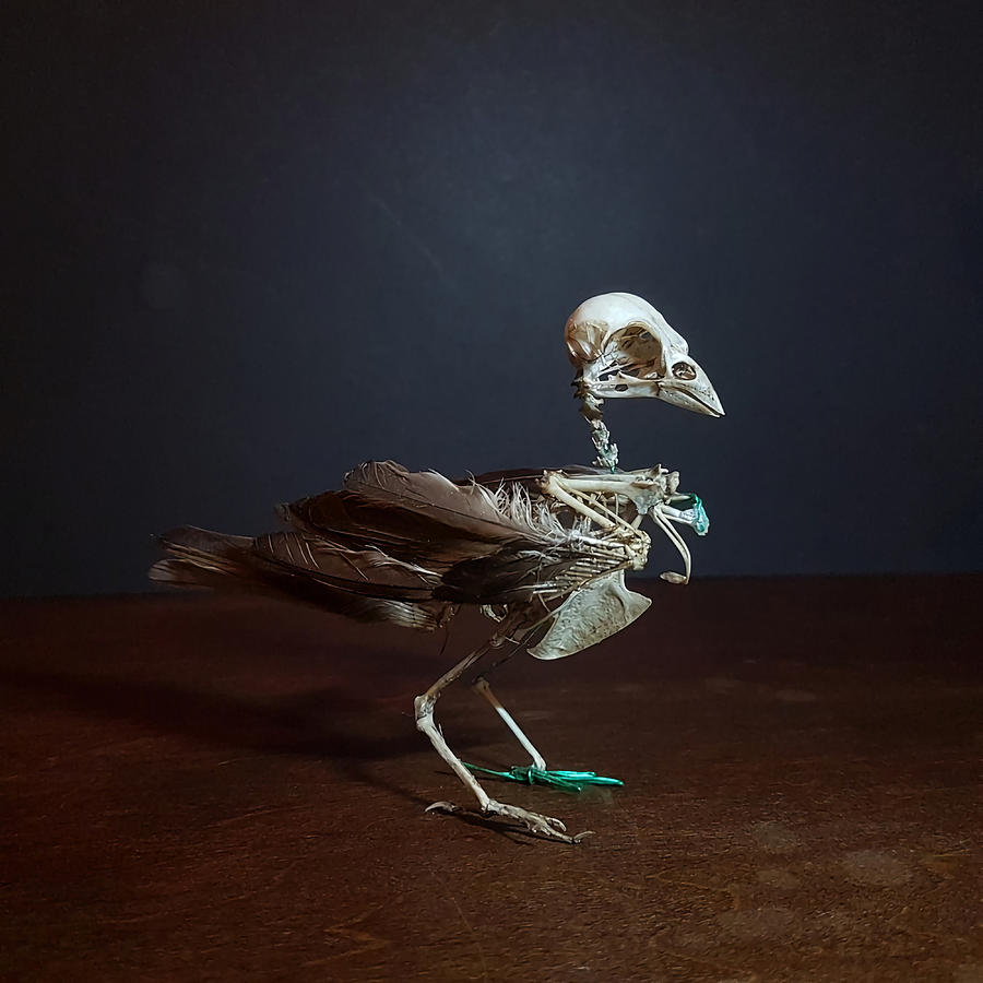 Jake Photoshoot Poster summer Painting by Jacob Taylor | Pixels