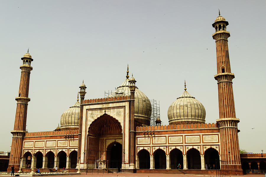 Jama Masjid Courtyard, Old Delhi Photograph by Aashish Vaidya