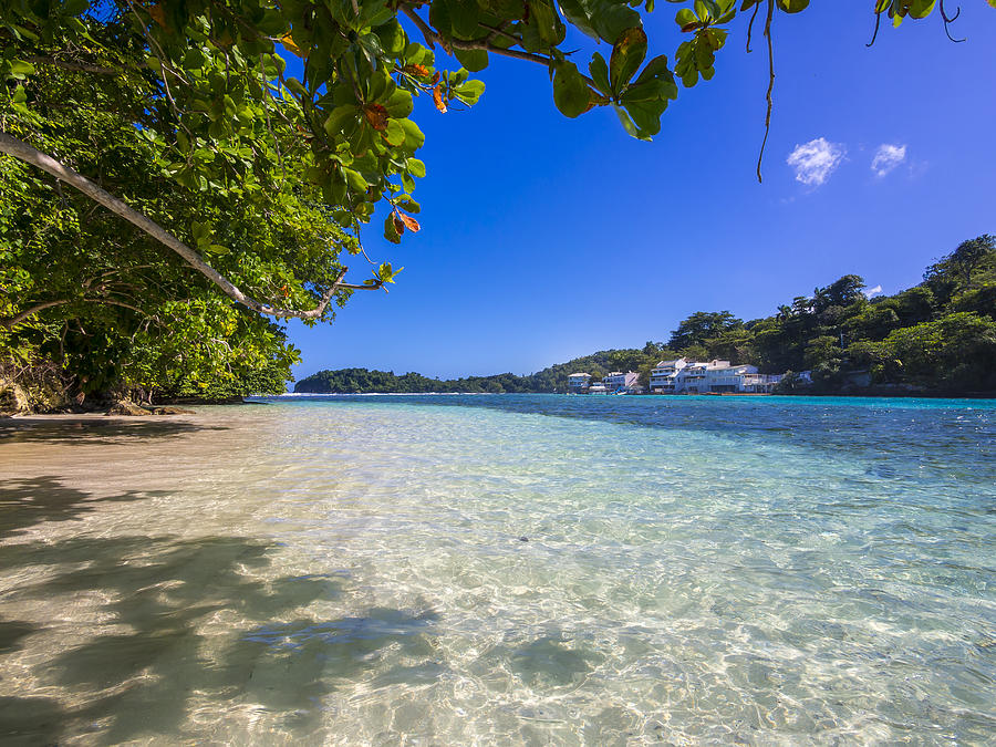 Jamaica, Port Antonio, blue lagoon with luxury villas in background Photograph by Westend61