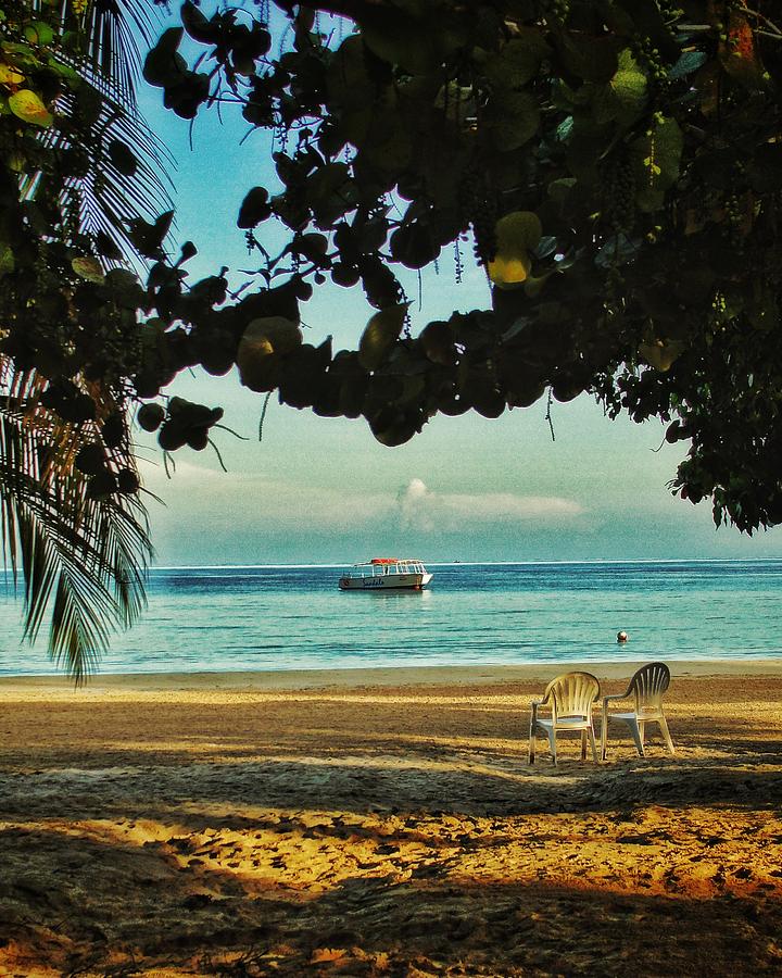 Jamaican Beach Scene Photograph by Bruce Moore - Fine Art America