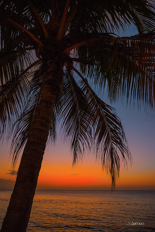 Jamaican Paradise Photograph by Jim Carlen