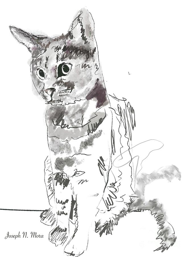 James Cat Digital Art by Joseph Mora