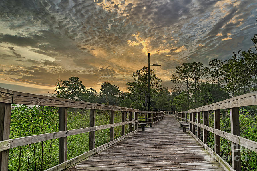James Hill Park Sunrise Photograph by Brian Wright