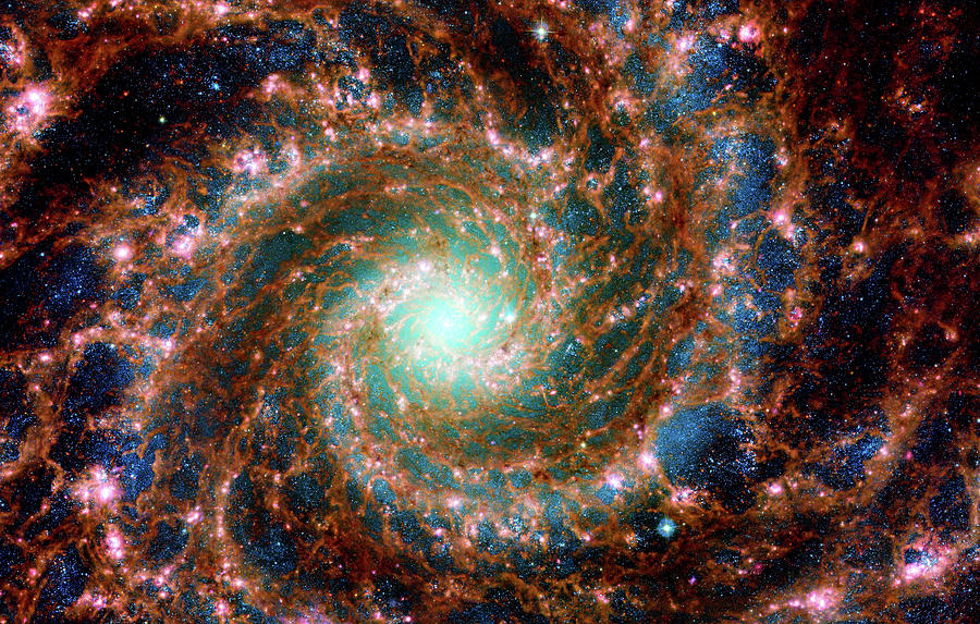 James Webb Space Telescope - The Phantom Galaxy Across The Spectrum Photograph