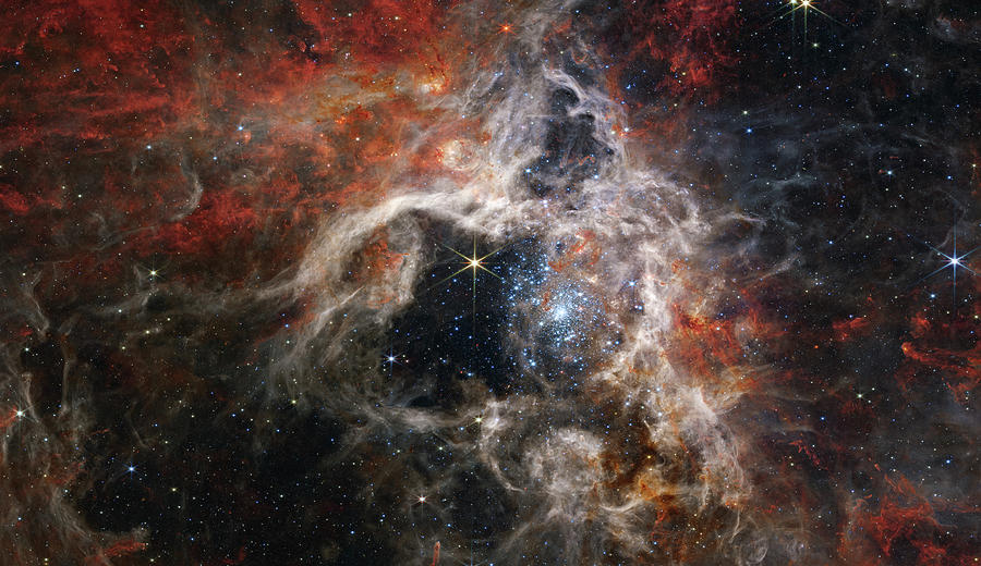 James Webb Tarantula Nebula Photograph by Sebastian Musial