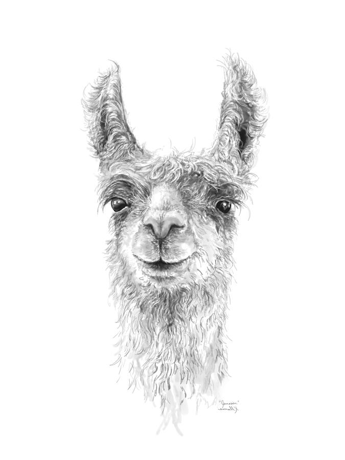 Llama Drawing - Jameson by Kristin Llamas