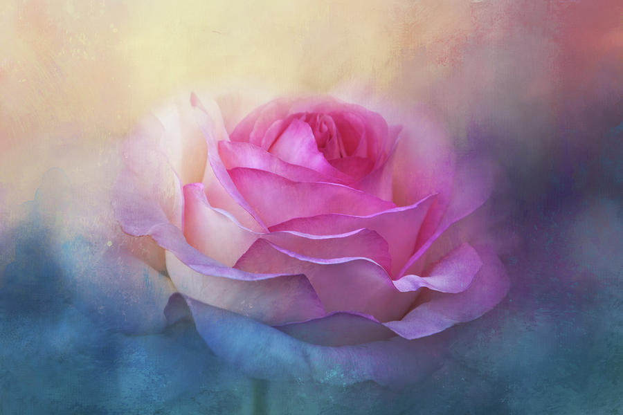 Jane's Fantasy Rose Digital Art by Terry Davis | Fine Art America