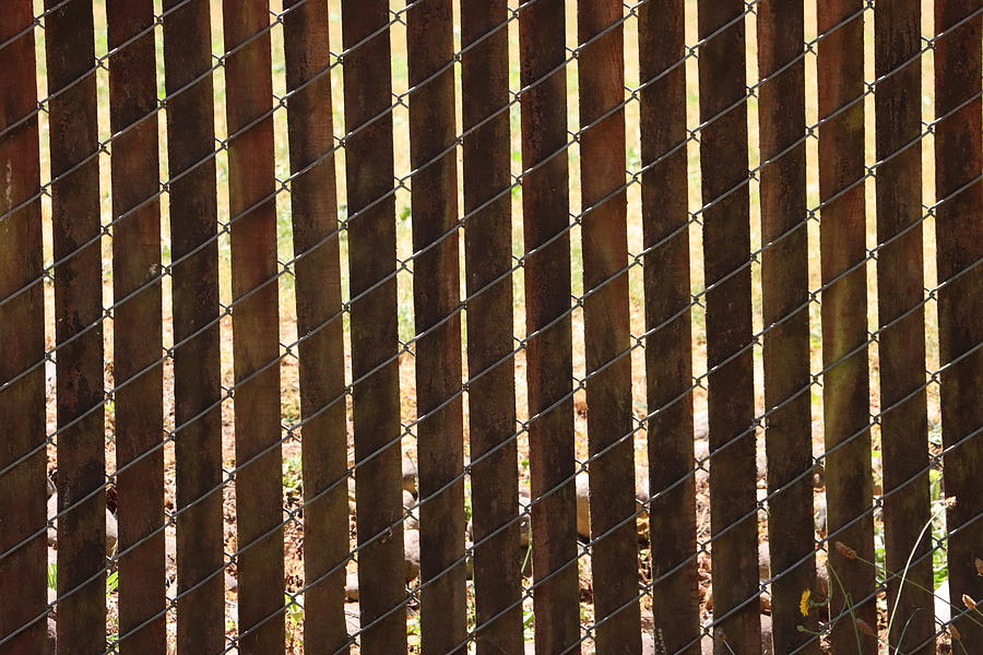 Janet Special Chain Link Fence With Wood Slats Digital Art by Tom Janca
