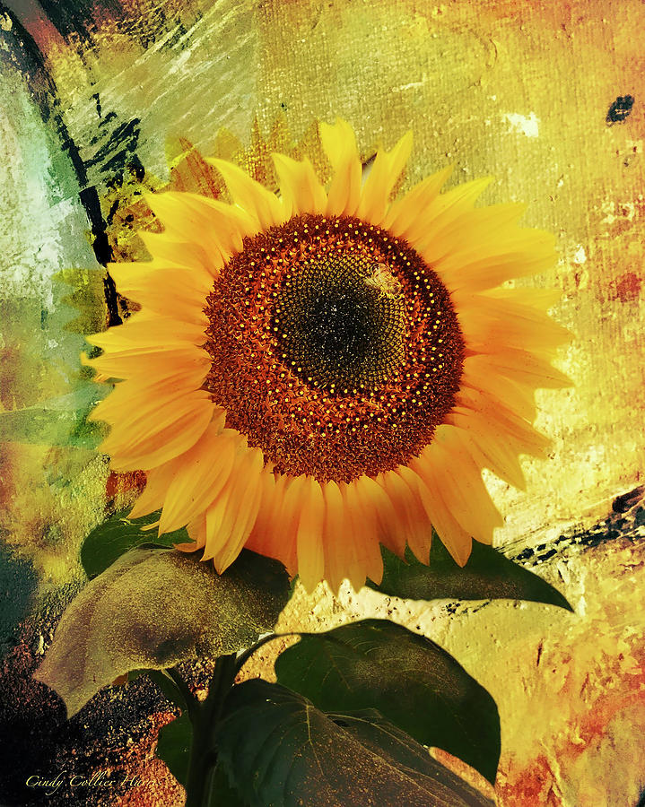 Janines Sunflower Digital Art by Cindy Collier Harris