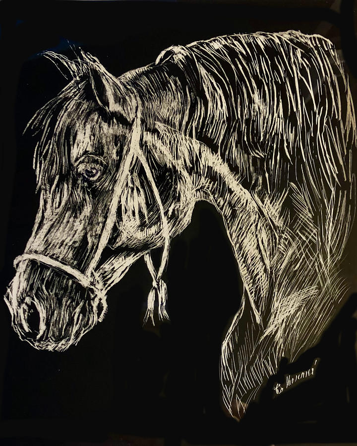 Jans Horse Drawing by Charme Curtin