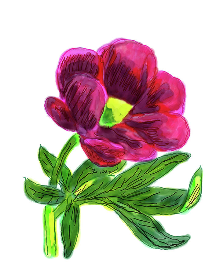 January 6 CAC Painted Peony Digital Art by Cathy Anderson