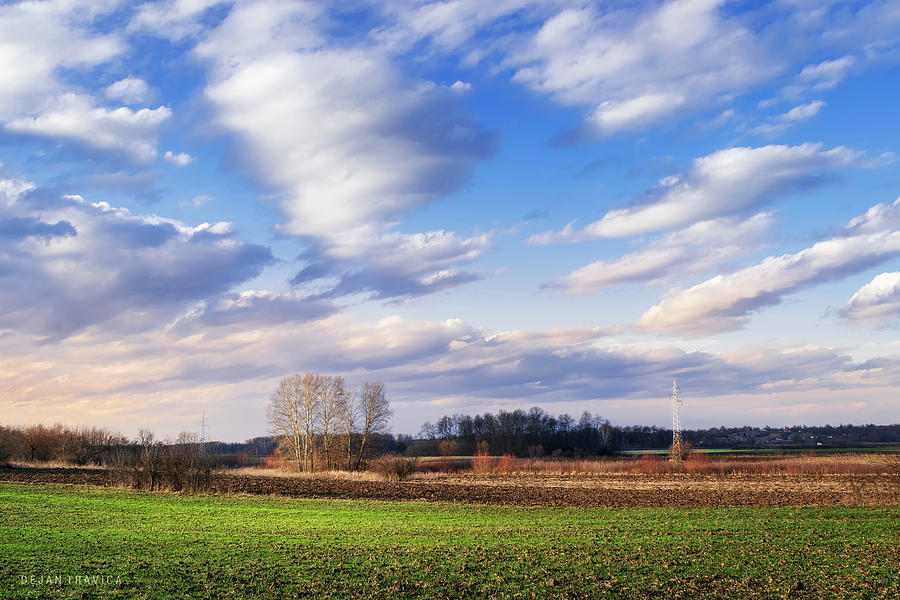 January afternoon in the field Photograph by Dejan Travica January afternoon in the field Photograph by Dejan Travica
