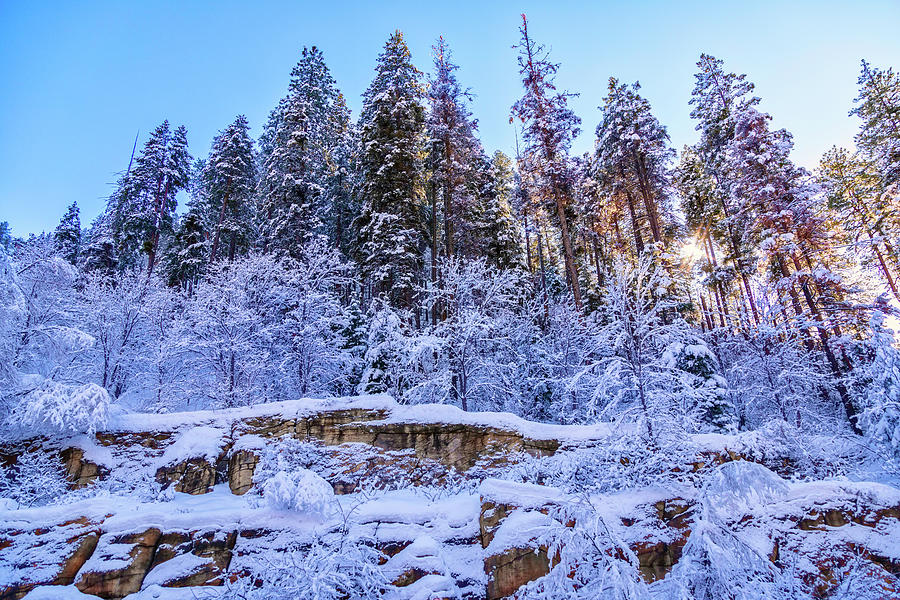 January In Oak Creek Canyon Photograph by Lorraine Baum
