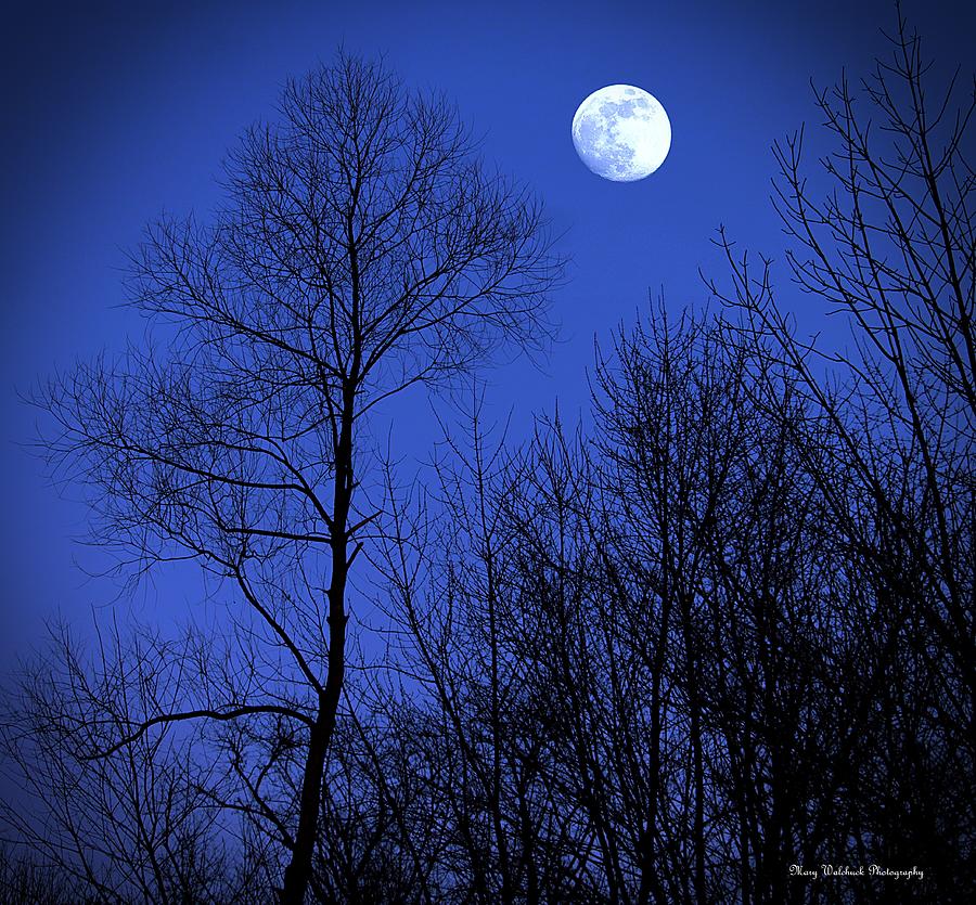 January Moon Photograph by Mary Walchuck