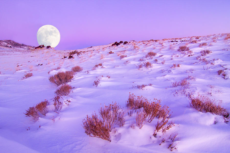 January Moonrise Photograph by Kent Keller