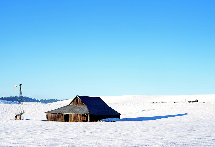 January Snow Photograph by Doug Davidson