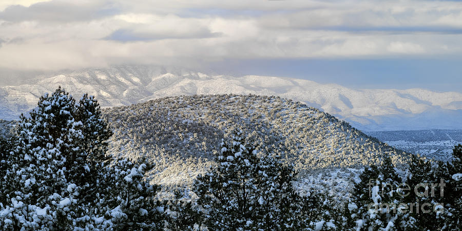 January Snowstorm in Sedona Photograph by Lisa Manifold