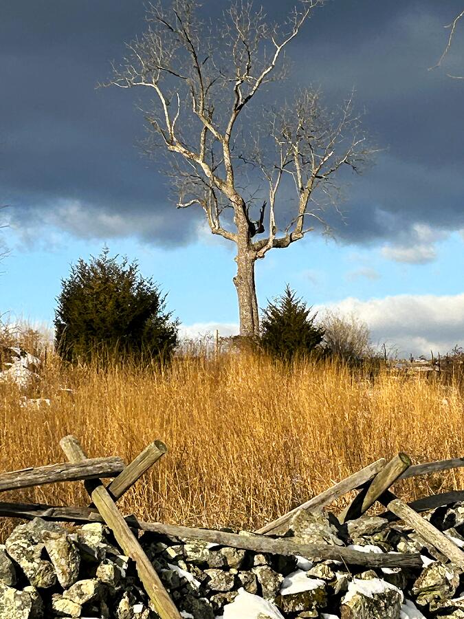 January Storm Gettysburg Pa Photograph by Angela Davies - Fine Art America