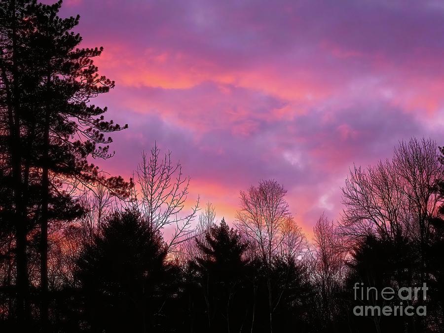 January Sunset  Photograph by Eunice Miller
