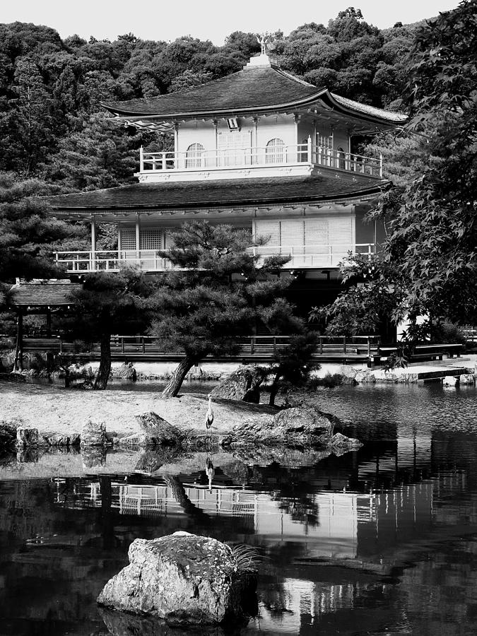 Japan - Kyoto - Golden Pavilion Photograph by Jacqueline M Lewis